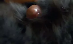 こなた 女性 用 アダルト 動画 無料