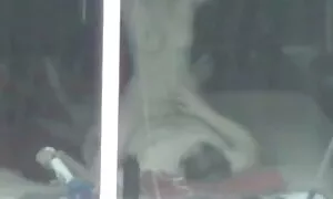 巨乳の自慰行為のベビーベッド 女性 用 アダルト ビデオ 動画