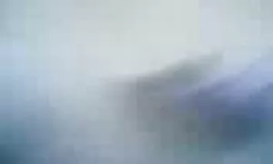 彼女の恋人を吸うペニスを吸う巻き毛の女性 エロ 動画 女子 用