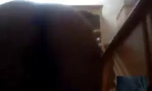 テイラー 女 用 エロ 動画
